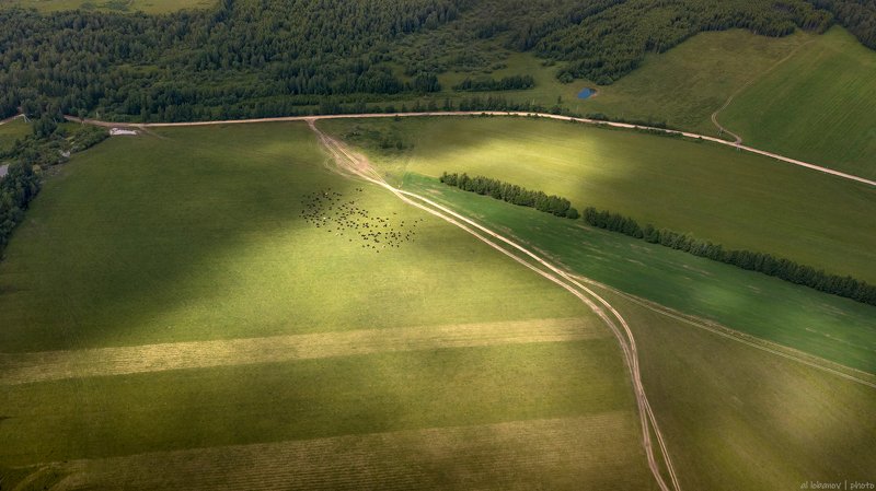 ярославская область Cельская местностьphoto preview