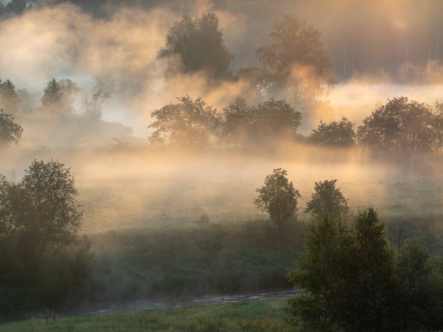 , Марина Брыдня