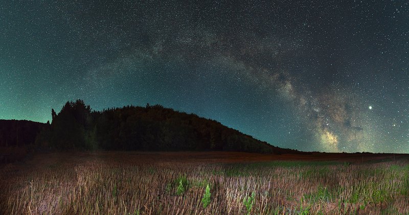 ceclii, nikon d3400 photo preview