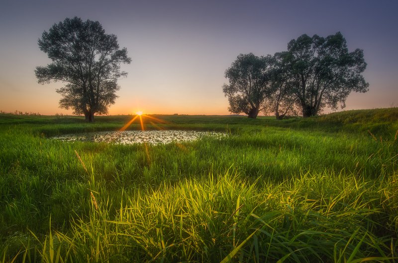 Закат в полеphoto preview