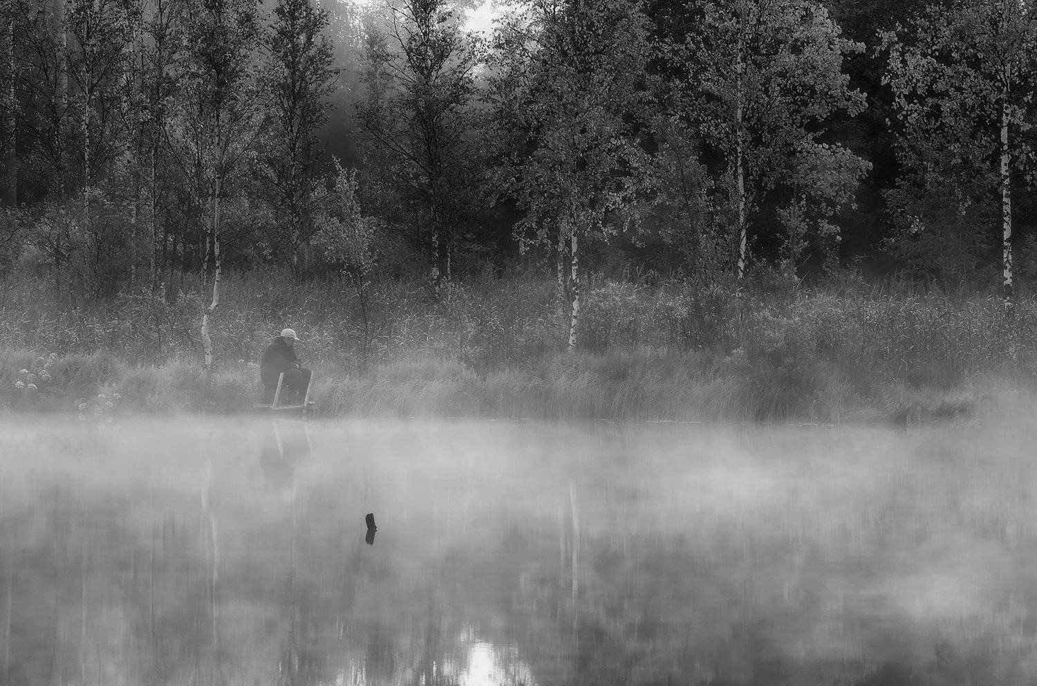 чёрно белое , чб, болото, туман,  ленинградская область, ленобласть, Таня SHE (Aiya)