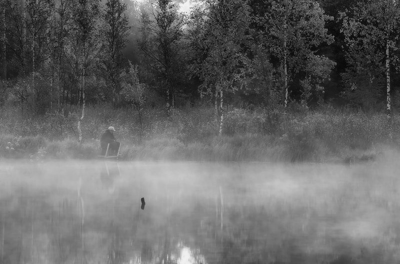 чёрно белое , чб, болото, туман,  ленинградская область, ленобласть Один на один...photo preview