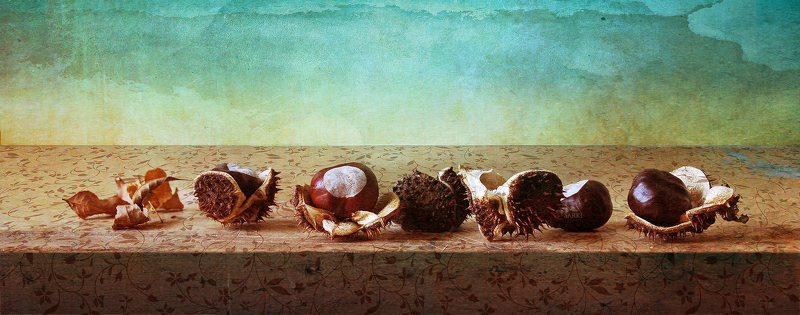 chestnuts, каштан with chestnutsphoto preview