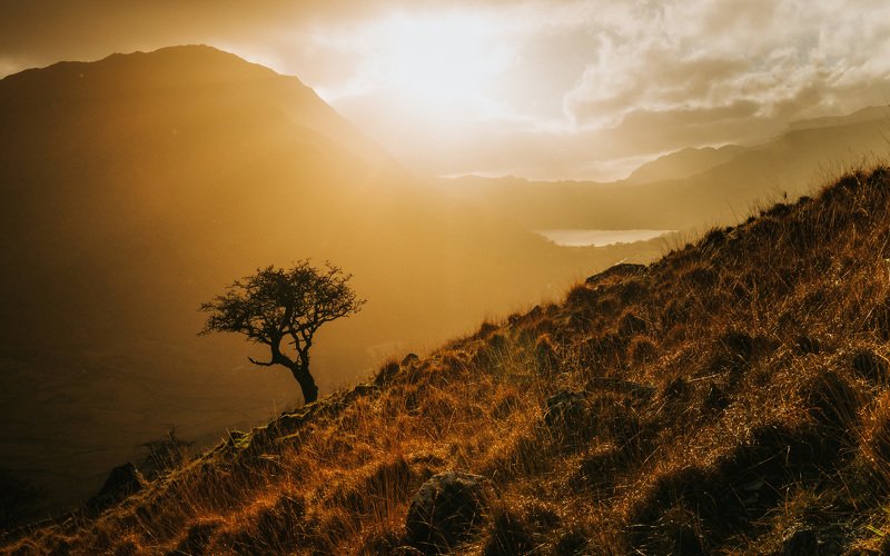 silencephoto preview