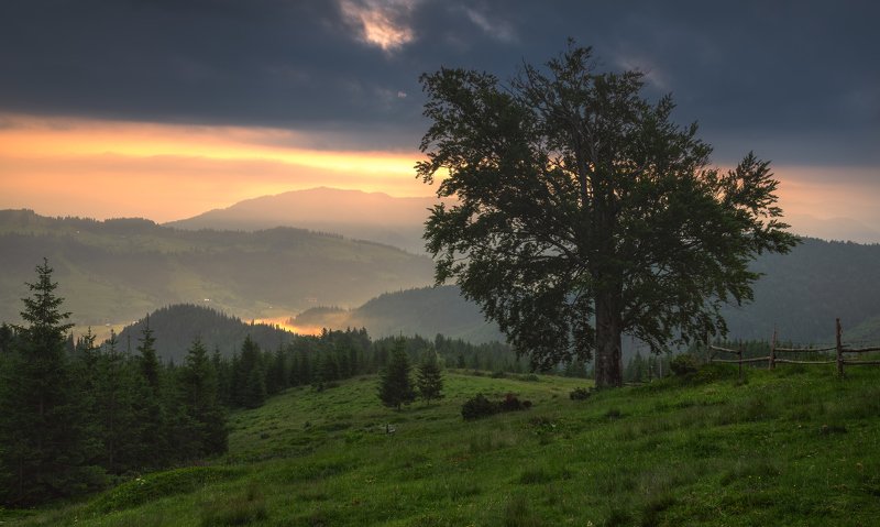 карпаты, черногорский хребет, полонина смотрич, дземброня Старый букphoto preview