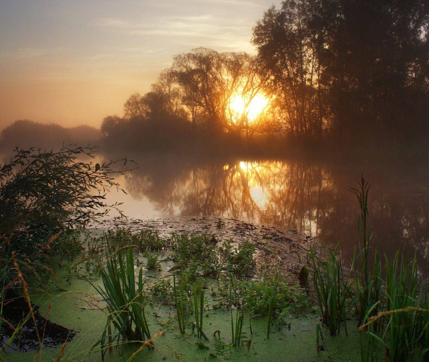 рассвет, утро, волчья, пейзаж, туман, лето, украина, река, dawn, morning, wolf, landscape, fog, summer,, Виктор Тулбанов