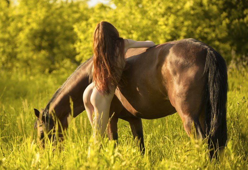 пока на деревню Клюевку не опустился вечер,надо успеть покормить домашнюю живность...photo preview