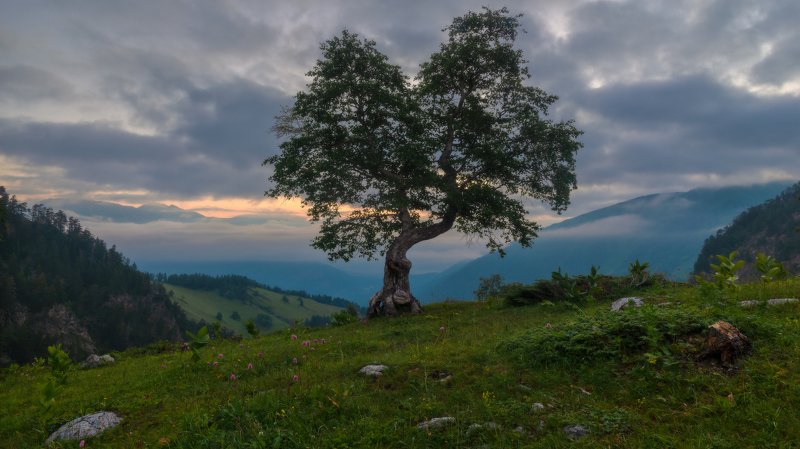 рассвет Рассветphoto preview