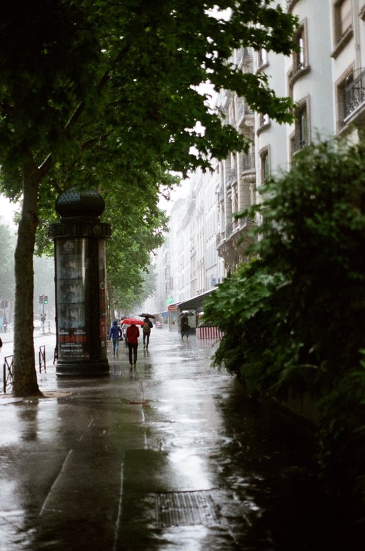 Дождиphoto preview