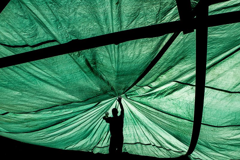 zebrophoto andrey veselov  андрей веселов  photo preview