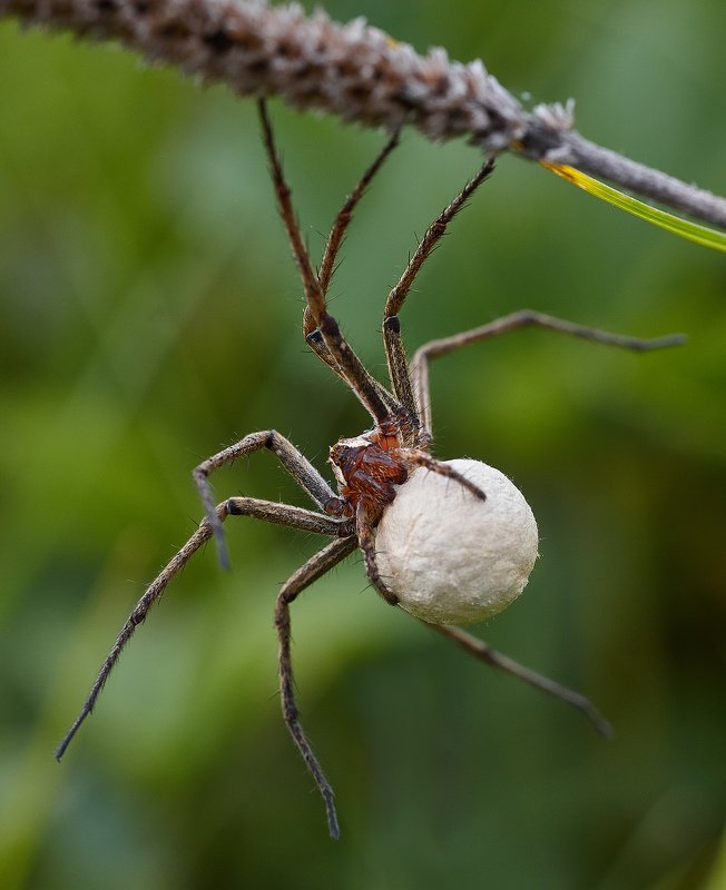 южный, урал, губерля орск, новотроицк Мороженного не Желаете)?photo preview