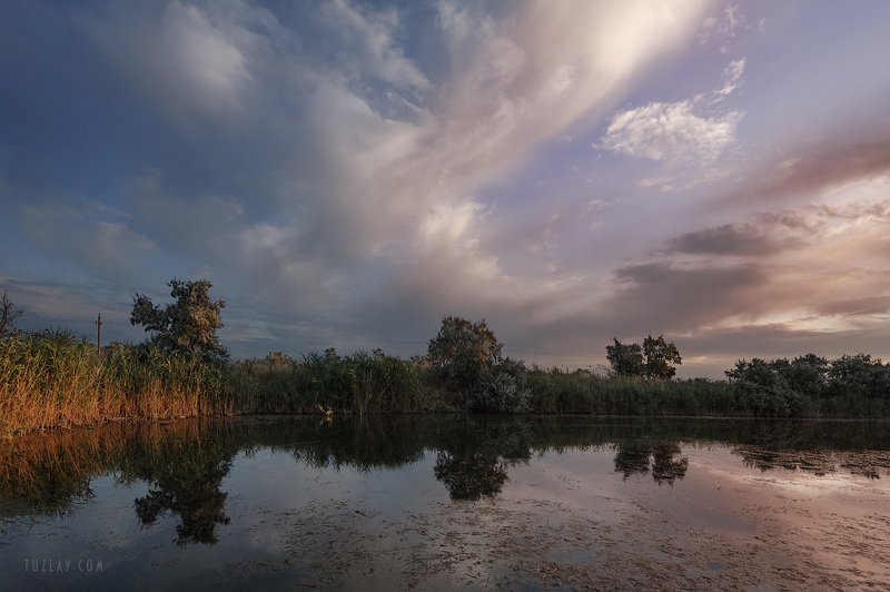 водоем, земля таманская, темрюкский район, камыши Таманский июльский вечерок над камышами фото превью