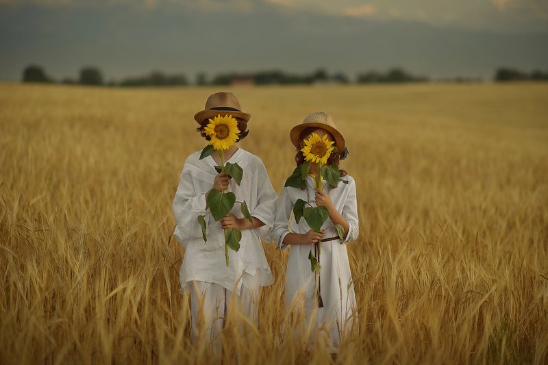 детский портрет, дети, детская фотография, пшеничные поля, любовь Над пропасть во ржиphoto preview
