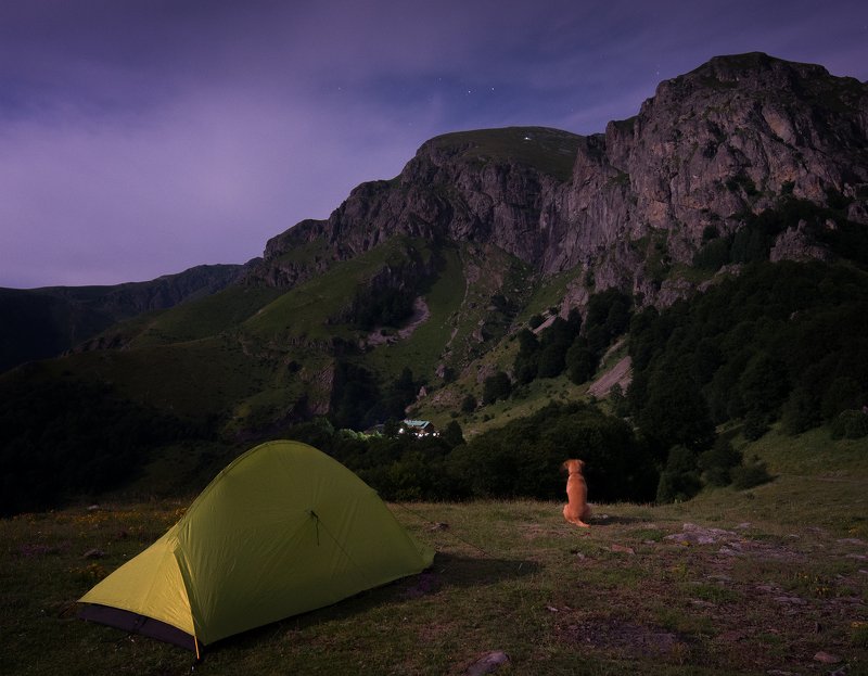 Райска нощ с приятелphoto preview