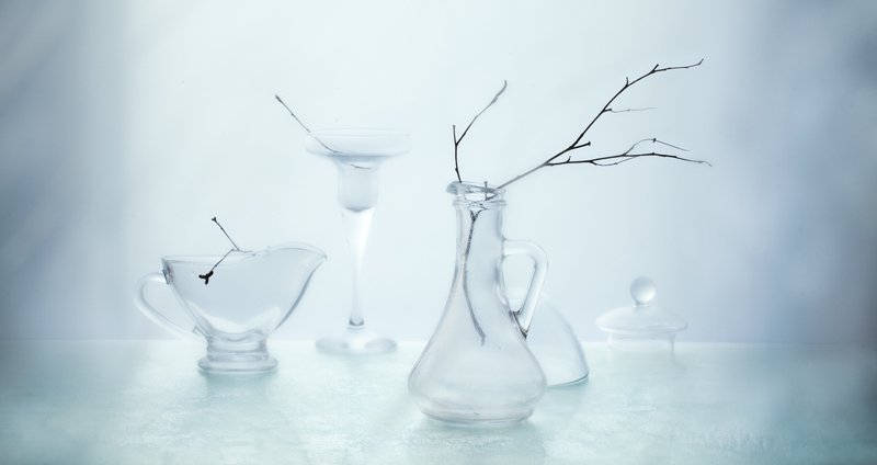 натюрморт, стекло, ветка, минимализм photo preview