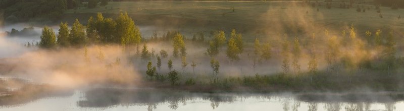 утро, изборск, туман, природа, озеро Утро...photo preview