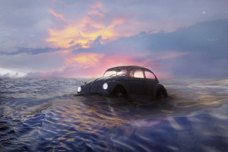 escarabajophoto preview