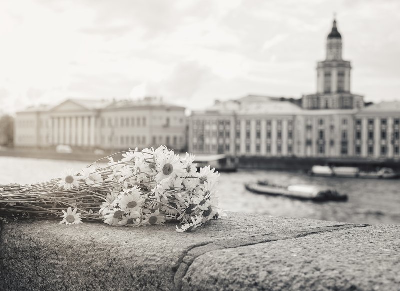 city, summer,  flowers, day, street, nikon Summer day of the big cityphoto preview