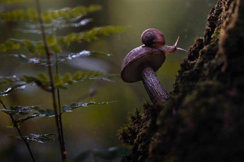 Вечерphoto preview