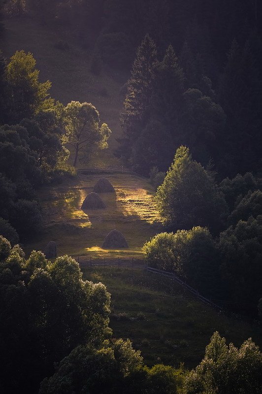 Яблуниця.Карпати.photo preview