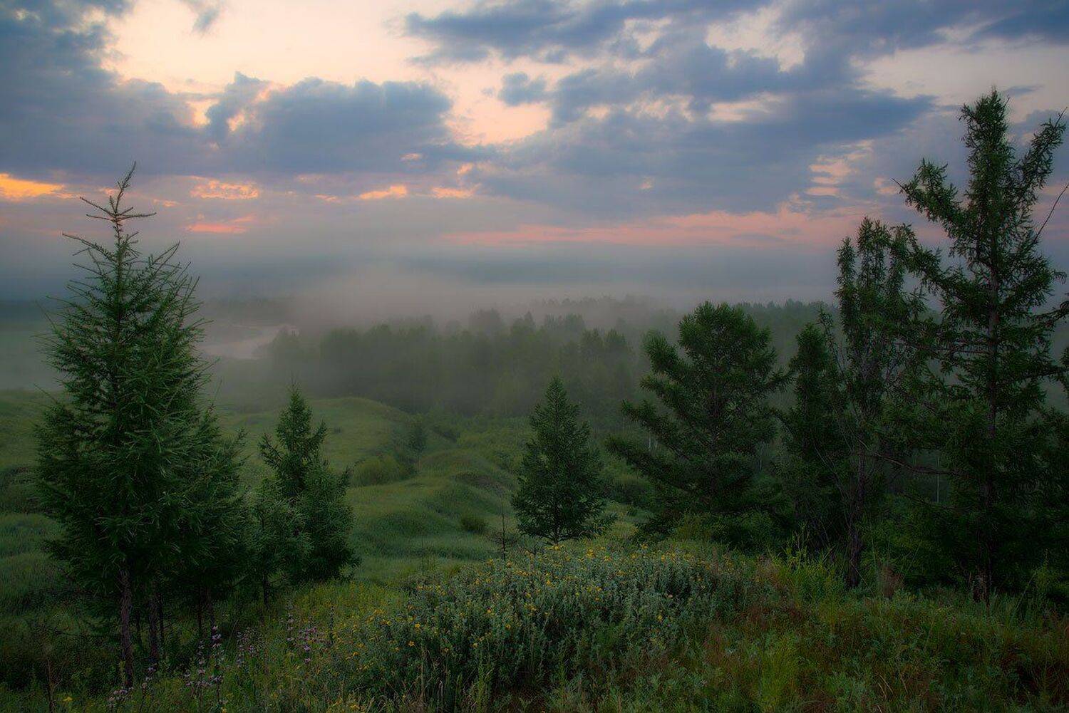***. Автор: Сергей Брагин , Сергей Брагин