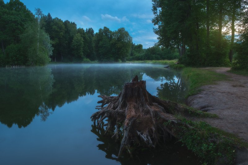 россия, подмосковье, московская область, середниково, усадьба, пейзаж, природа, закат, сумерки, вечер, озеро, пруд, туман, лето Подмосковный вечерphoto preview
