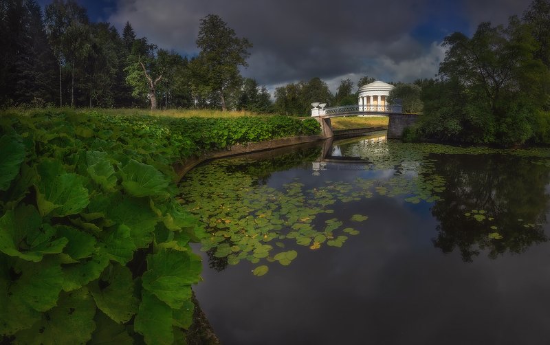 питер, павловск, утро, лето, павловский парк, санкт-петербург, пейзаж, landscape Летом:)photo preview