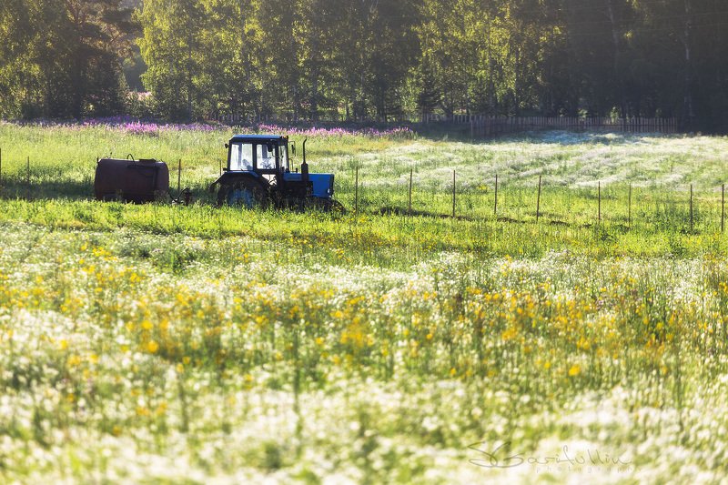Урал, Средний Урал, трактор, пейзаж, лето, деревня жаркий летний день в деревнеphoto preview