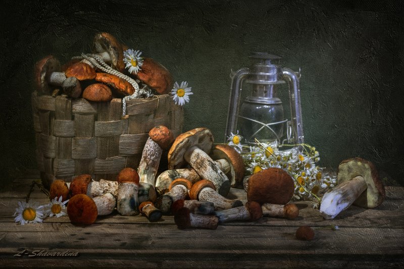 Белый и боровикиphoto preview