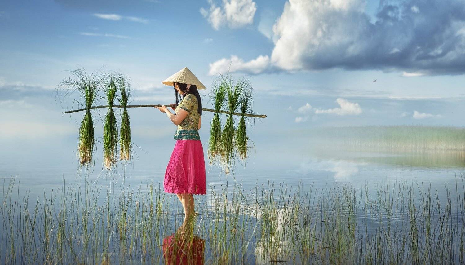 девушка, женский портрет, сборщица риса, поле, вода, вьетнам, азия, трава, шляпа, небо, трава, жанр, постановка, Наталья Прядко