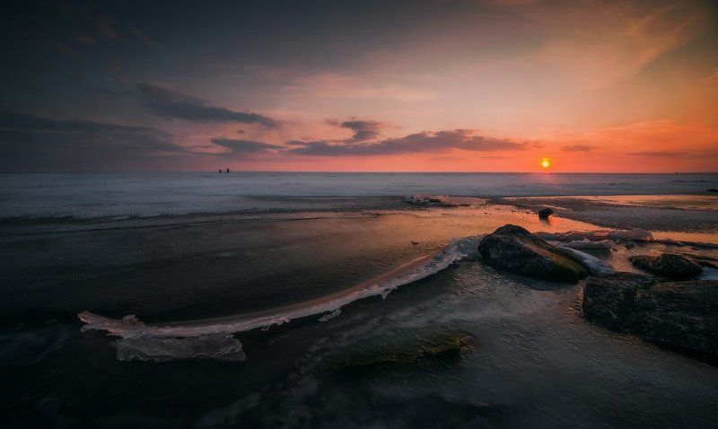 Поздняя веснаphoto preview