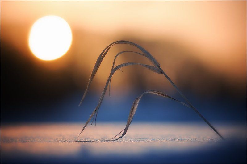 Магия закатаphoto preview