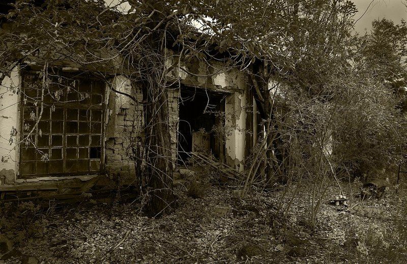 пос.адыгалах Адыгалах 2009, продолжениеphoto preview