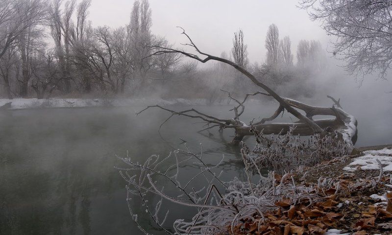 город, парк, зима река кубань ТАМ...... В КОРОЛЕВСТВЕ КРИВЫХ ЗЕРКАЛphoto preview