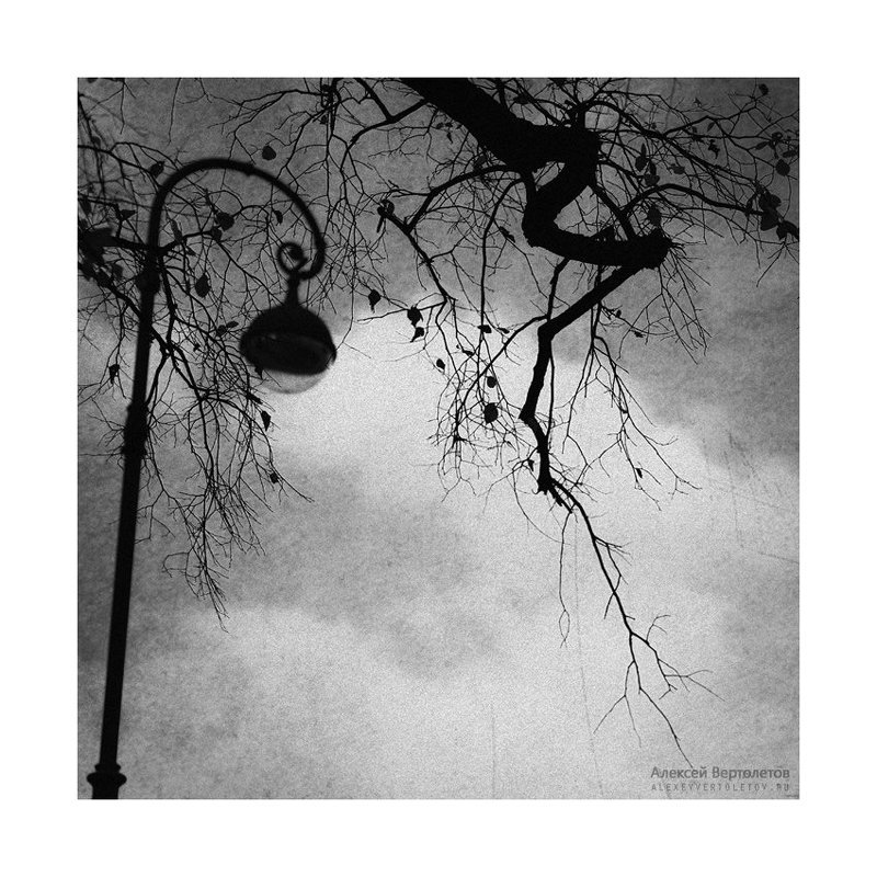 ЭЛЕМЕНТарная фотографияphoto preview