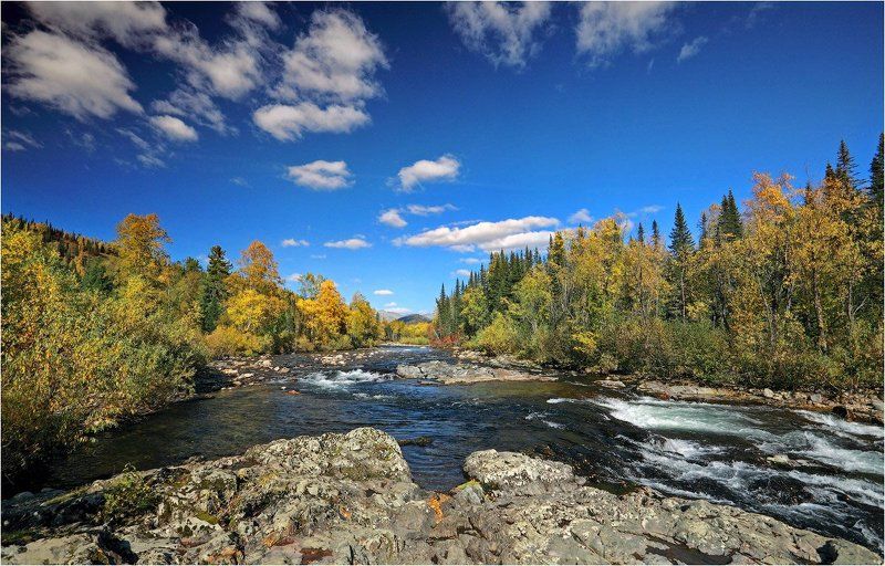 поднебесные, зубья photo preview