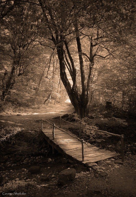 ...следы невиданных зверейphoto preview