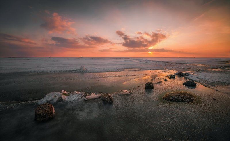 Поздняя весна-IIphoto preview