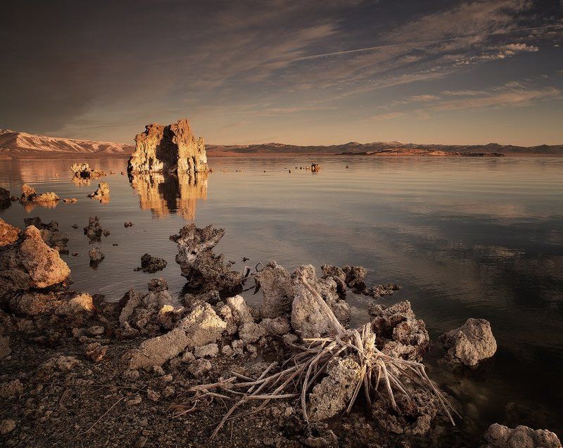 Война мировphoto preview