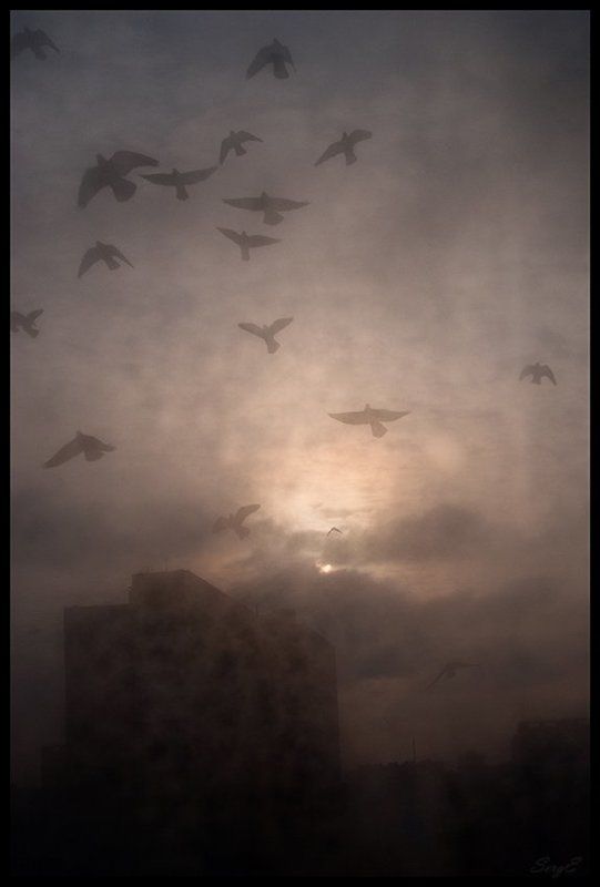 Городское фэнтезиphoto preview