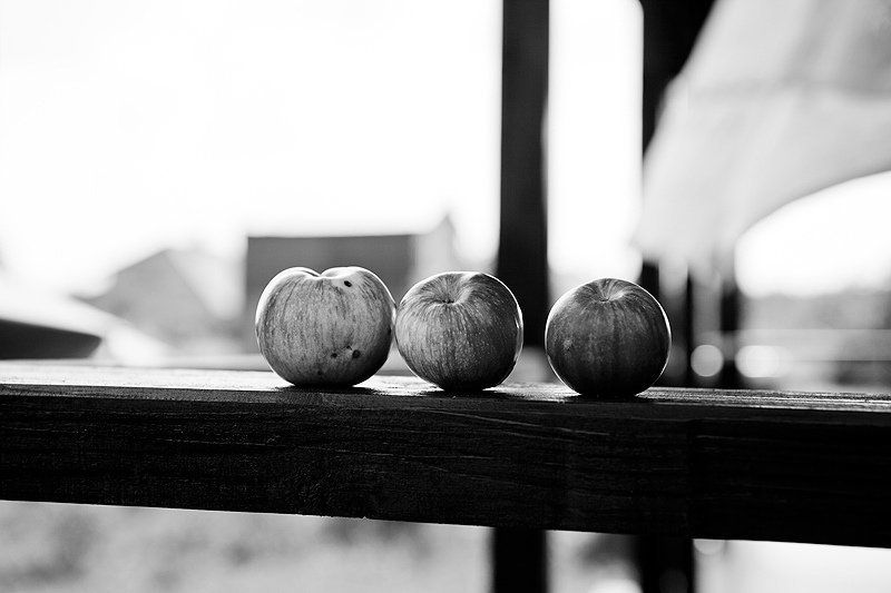 яблоки *photo preview