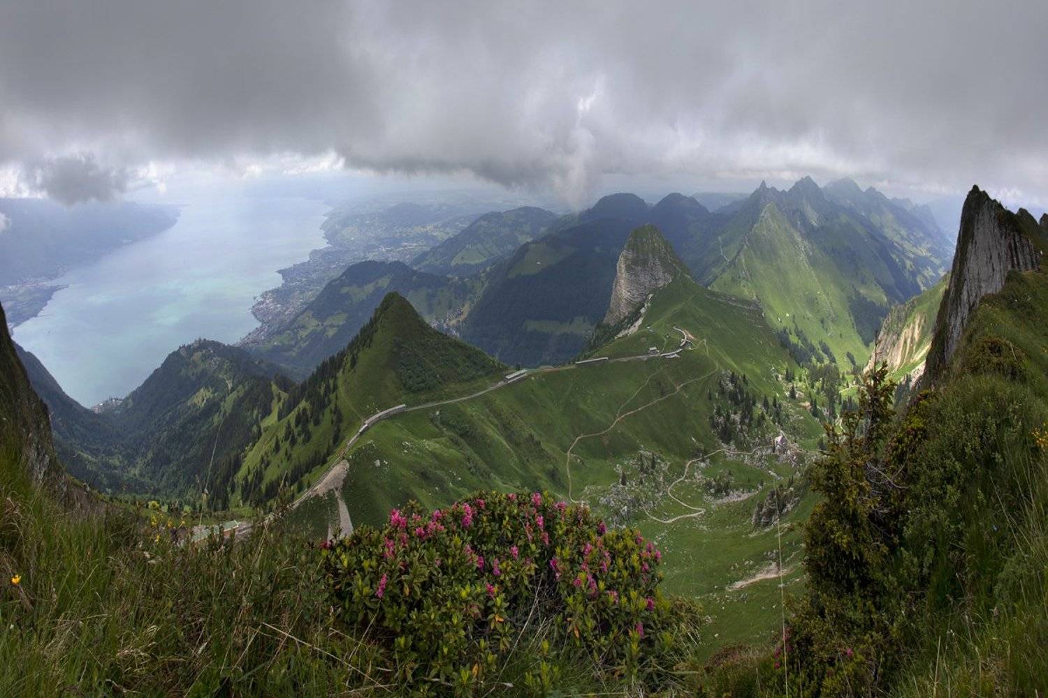 swiss,швейцария,rochers-de-naye, Матвеев Николай