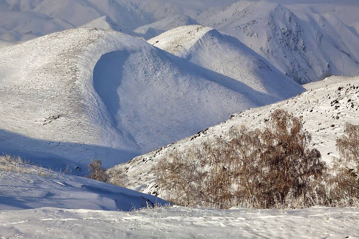 Пломбир с грецким!!. Автор: Качурин Алексей , Качурин Алексей