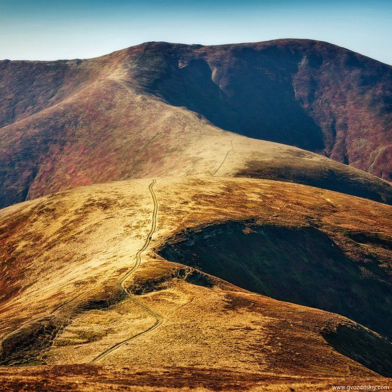 карпаты, горы, хребет, великий верх, полонина, боржава Полонина Боржаваphoto preview