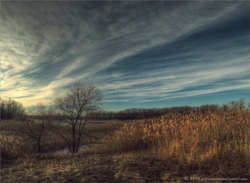 No words....photo preview