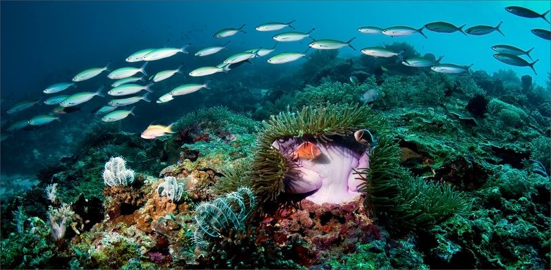 вечереет Прогулки перед сном фото превью