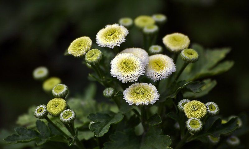 Ползая по садуphoto preview