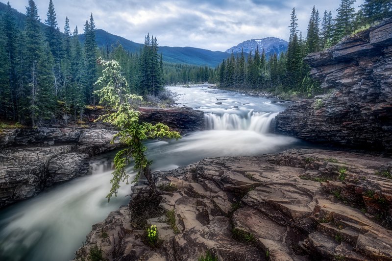 river, water,  Sheep Riverphoto preview