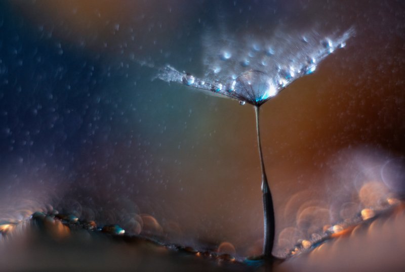 Волшебствоphoto preview