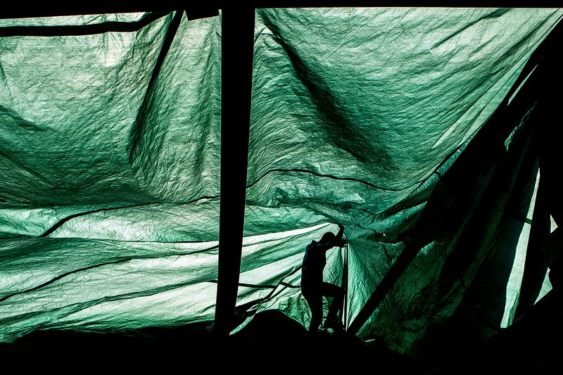 zebrophoto andrey veselov  андрей веселов  photo preview